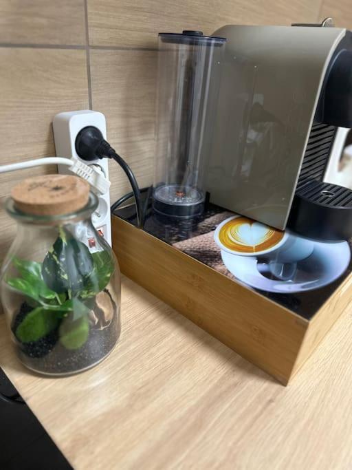 Le Cocon Canetois 외부 사진